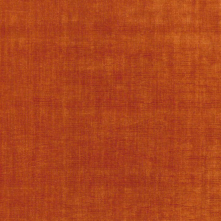 Best Friend Adobo 450025 by Genevieve Gorder Fabric LOS CLASICOS 100% Polyester INDIA Wyzenbeek 51,000 Horizontal: 0.00" and Vertical: 0.00" 55" - Fabric Carolina -