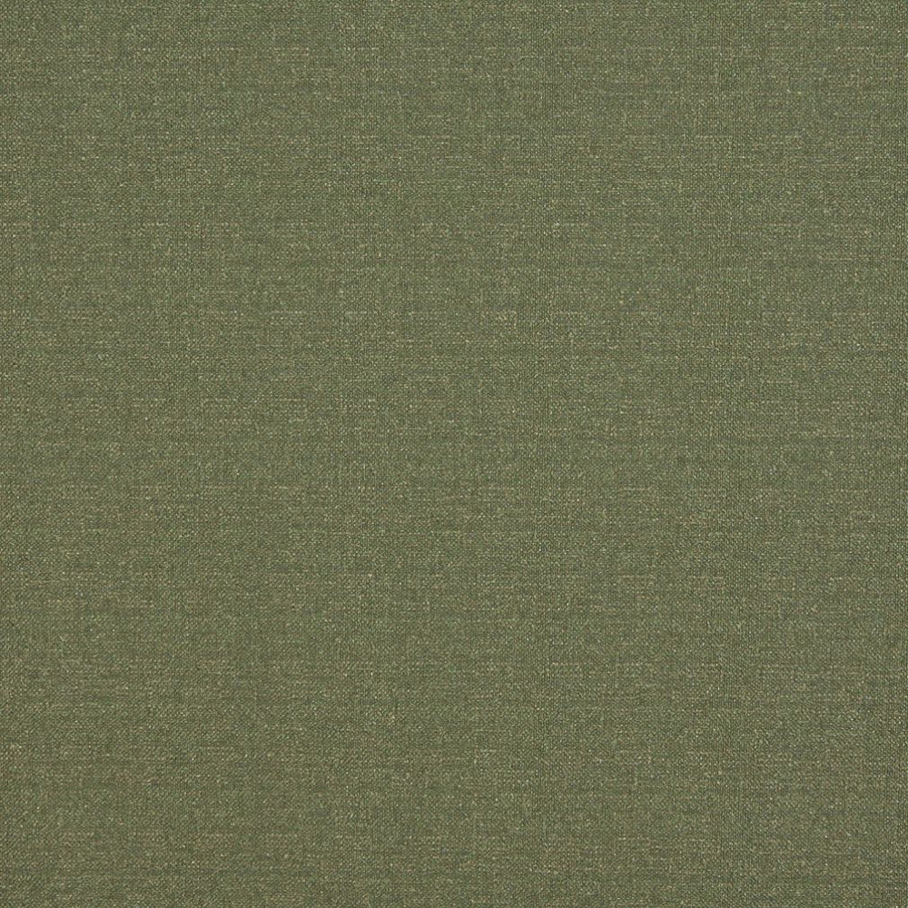 4523 Avocado by Charlotte Fabric Ring Book Page #19 76% Olefin, 24% Polyester Made In USA Exceeds 70,000 Wyzenbeek Rubs (Heavy Duty) No Repeat 54 Inches - Fabric Carolina -