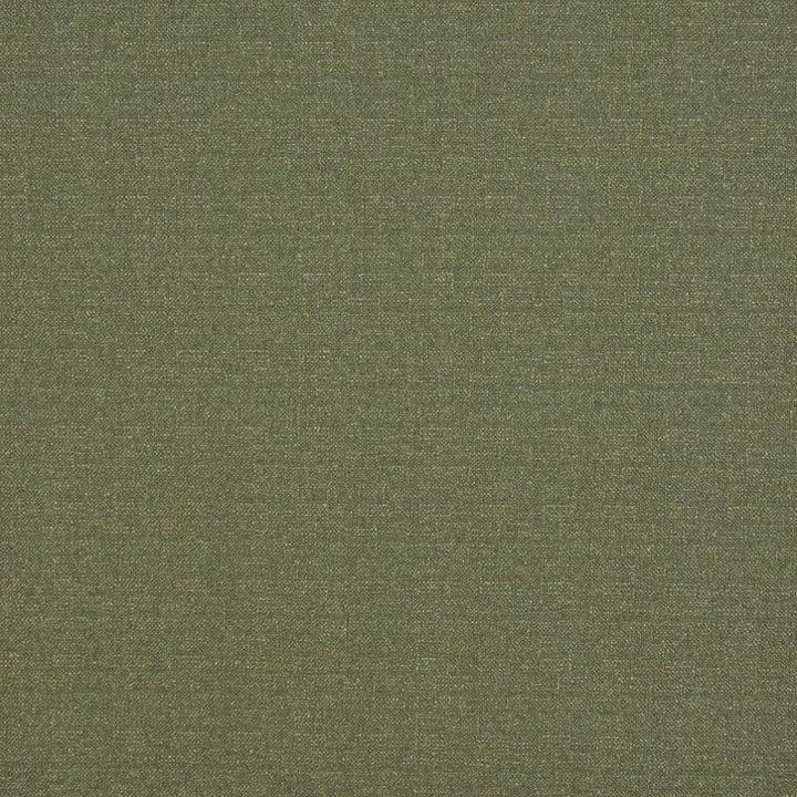 4523 Avocado by Charlotte Fabric Ring Book Page #19 76% Olefin, 24% Polyester Made In USA Exceeds 70,000 Wyzenbeek Rubs (Heavy Duty) No Repeat 54 Inches - Fabric Carolina -