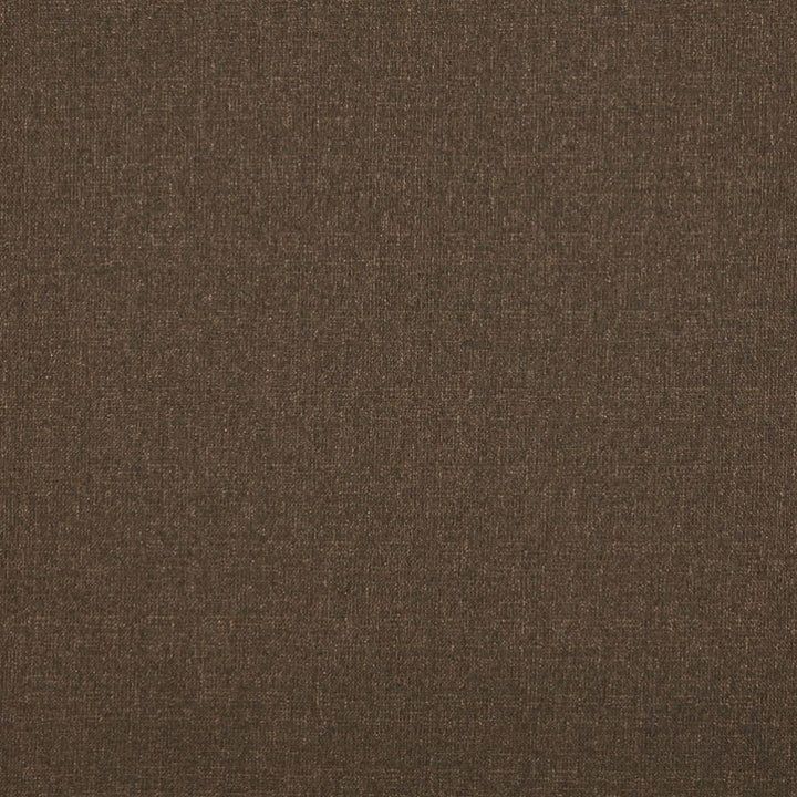 4525 Mocha by Charlotte Fabric Ring Book Page #19 76% Olefin, 24% Polyester Made In USA Exceeds 70,000 Wyzenbeek Rubs (Heavy Duty) No Repeat 54 Inches - Fabric Carolina -