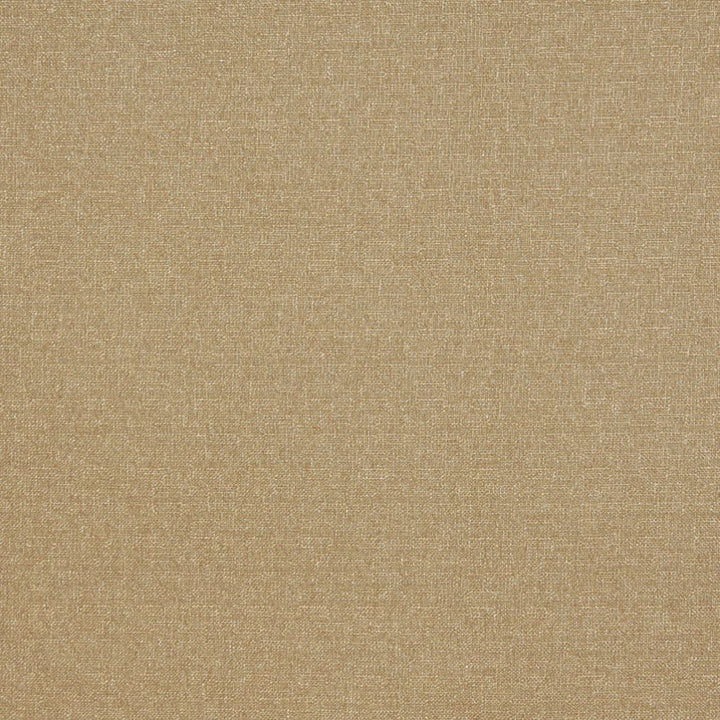 4528 Camel by Charlotte Fabric Ring Book Page #19 76% Olefin, 24% Polyester Made In USA Exceeds 70,000 Wyzenbeek Rubs (Heavy Duty) </p><p>Repeat: No Repeat 54 Inches - Fabric Carolina -