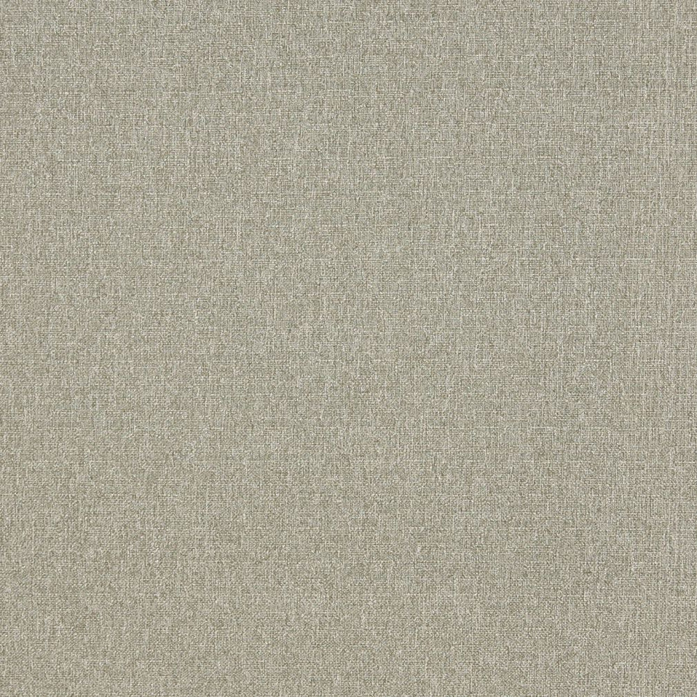 4529 Aloe by Charlotte Fabric Ring Book Page #19 & Ring Book Page #34A 76% Olefin, 24% Polyester Made In USA Exceeds 70,000 Wyzenbeek Rubs (Heavy Duty) No Repeat 54 Inches - Fabric Carolina -