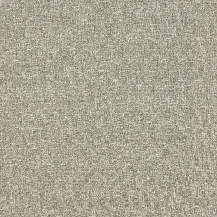 4529 Aloe by Charlotte Fabric Ring Book Page #19 & Ring Book Page #34A 76% Olefin, 24% Polyester Made In USA Exceeds 70,000 Wyzenbeek Rubs (Heavy Duty) No Repeat 54 Inches - Fabric Carolina -