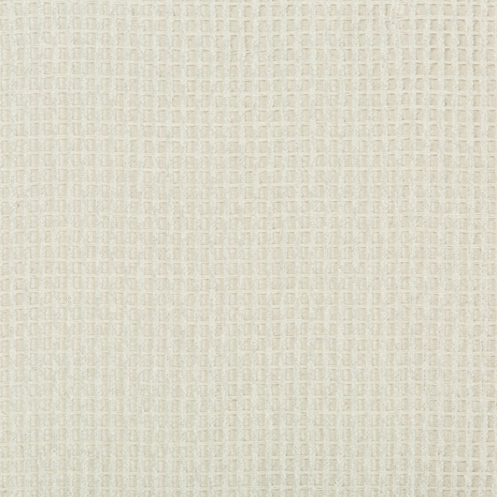 4600-1 by Kravet Design Fabric LINEN - 50%;POLYESTER - 50% Turkey Horizontal: and Vertical: 115 - Fabric Carolina -