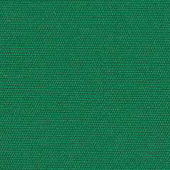 4600 Erin Green by Sunbrella Fabric