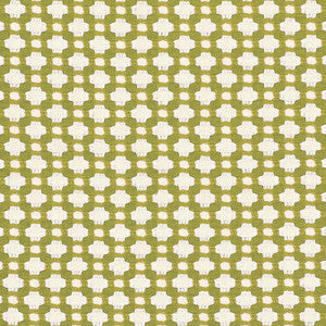 Betwixt Grass/Ivory 62614 by Schumacher Fabric