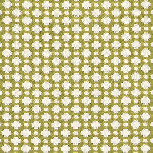 Betwixt Grass/Ivory 62614 by Schumacher Fabric