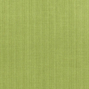 Antique Strie Velvet Lime 69776 by Schumacher Fabric