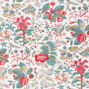 Pomegranate Botanical Document 178121 by Schumacher Fabric