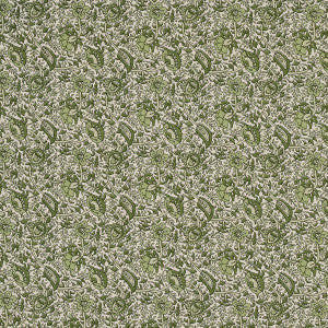 Daisy Indoor/Outdoor Leaf Green 180711 by Schumacher Fabric
