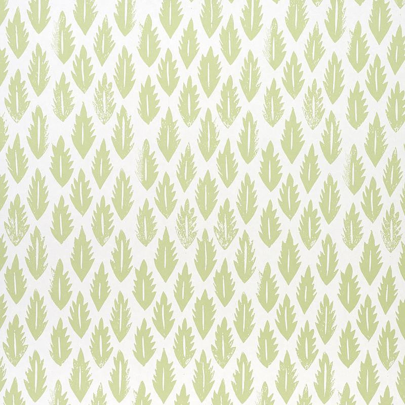 Leaf Grass Green 5011150 by Schumacher Wallpaper Molly Mahon 10.25" - Fabric Carolina -