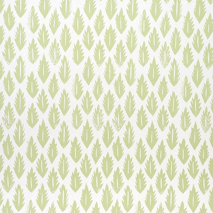 Leaf Grass Green 5011150 by Schumacher Wallpaper Molly Mahon 10.25" - Fabric Carolina -