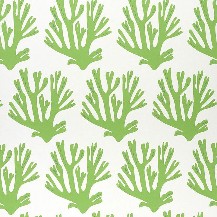 Coral Green 5011200 by Schumacher Wallpaper Molly Mahon 6.88" - Fabric Carolina -