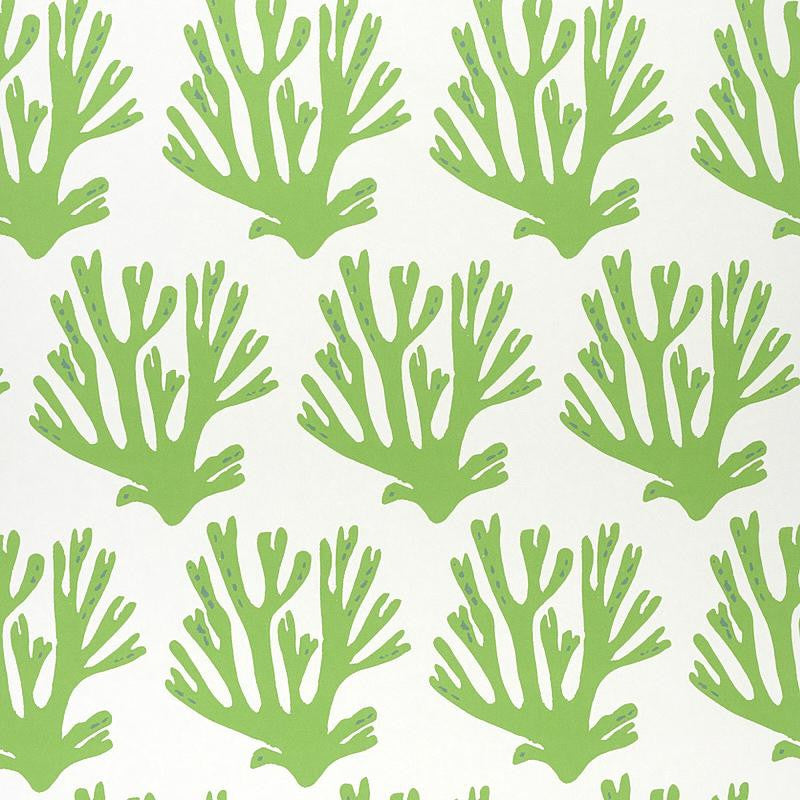 Coral Green 5011200 by Schumacher Designer Wallpaper Molly Mahon 6.88" - Swanky Fabrics -