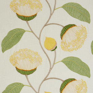 Celinda Embroidery Yellow 78300 by Schumacher Fabric