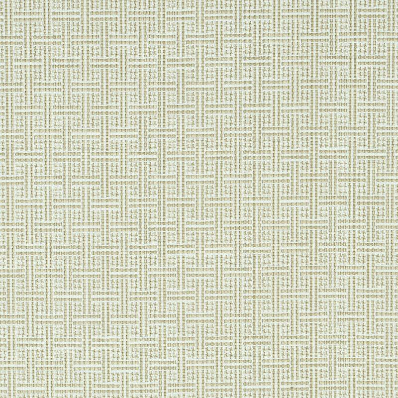 Brickell Indoor/Outdoor Neutral 75937 by Schumacher Designer Fabric Indoor/Outdoor: Prints & Wovens 1.0" - Swanky Fabrics -