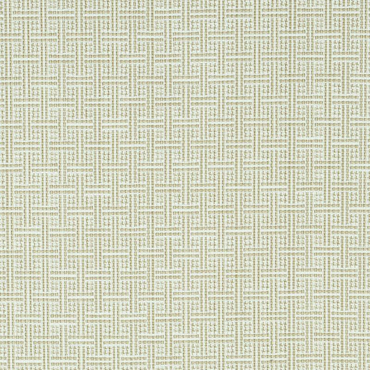 Brickell Indoor/Outdoor Neutral 75937 by Schumacher Designer Fabric Indoor/Outdoor: Prints & Wovens 1.0" - Swanky Fabrics -