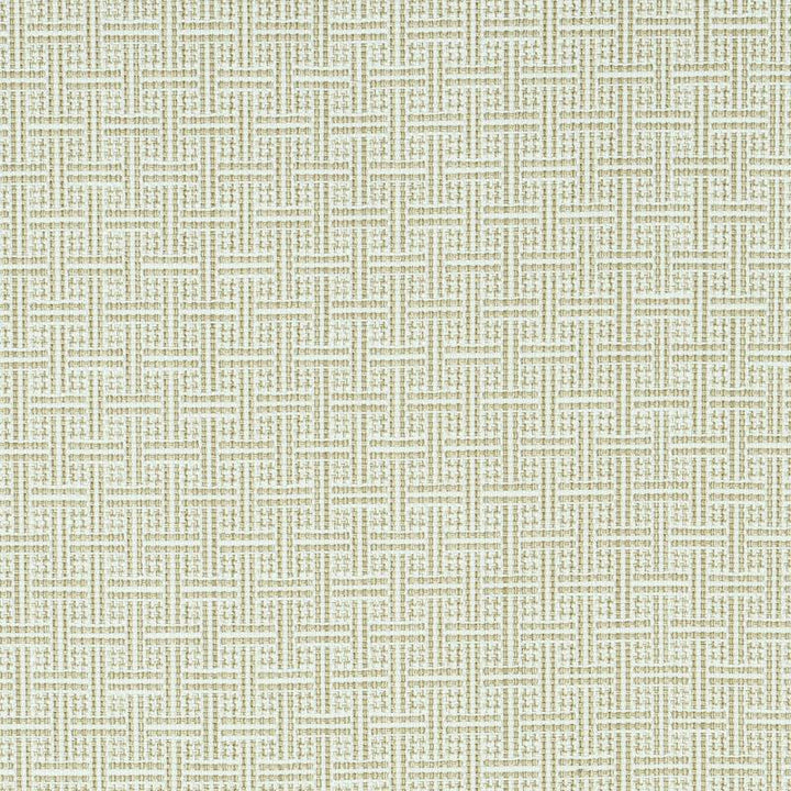 Brickell Indoor/Outdoor Neutral 75937 by Schumacher Fabric Indoor/Outdoor: Prints & Wovens 1.0" - Fabric Carolina -