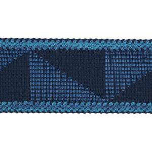 Teague Tape Indoor/Outdoor Blue 78530 by Schumacher Trim