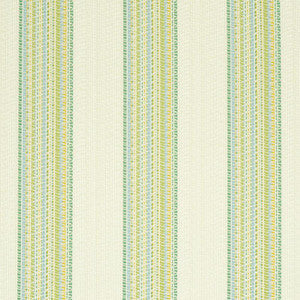 Bendita Stripe Indoor/Outdoor Leaf 79150 by Schumacher Fabric