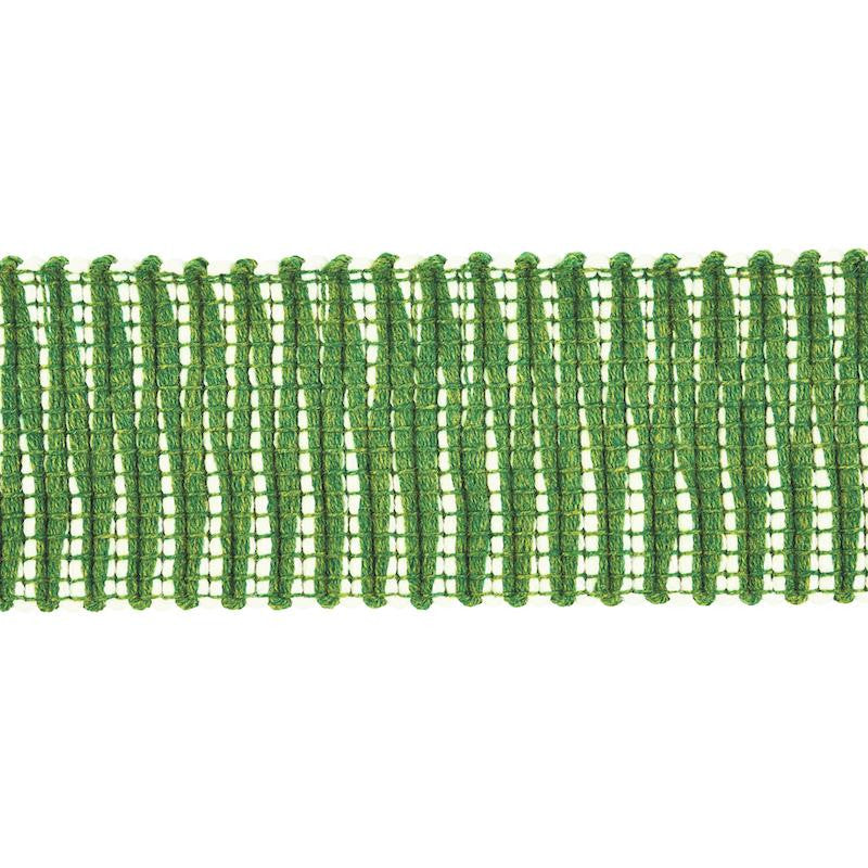 Pierce Tape Indoor/Outdoor Green 79410 by Schumacher Trim Indoor/Outdoor: Prints & Wovens - Fabric Carolina -