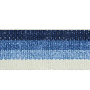 Ombre Tape Indoor/Outdoor Blue 79430 by Schumacher Trim