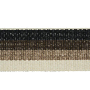 Ombre Tape Indoor/Outdoor Neutral 79431 by Schumacher Trim