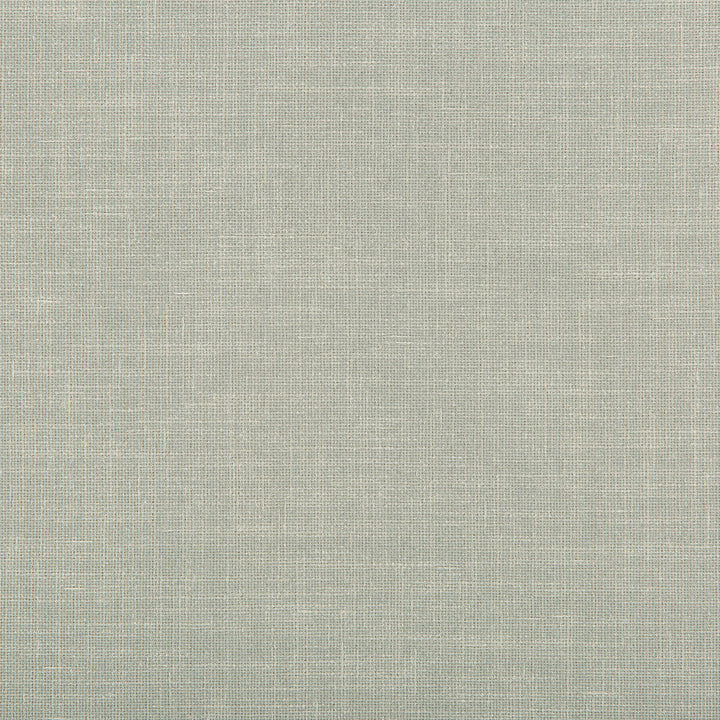Kravet Contract 4639-11 by Kravet Contract Fabric Kravet Contract Fabric Kravet Contract 4639-11Fabric POLYESTER - 100% India </p><p>Repeat: H: 0, V: 0 58 - Fabric Carolina -
