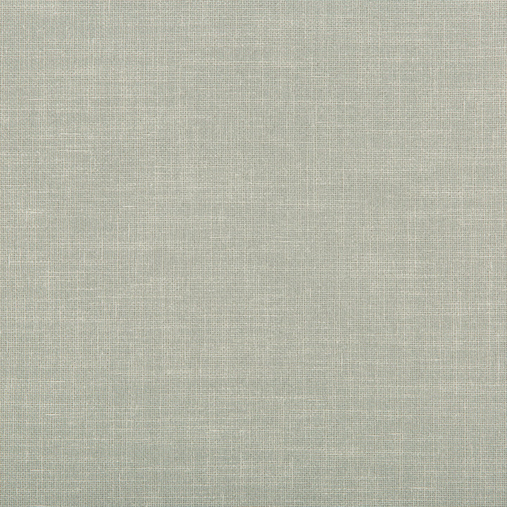 4639-11 by Kravet Contract Fabric - POLYESTER - 100% India - Horizontal: 0 and Vertical: 0 58 - Fabric Carolina -