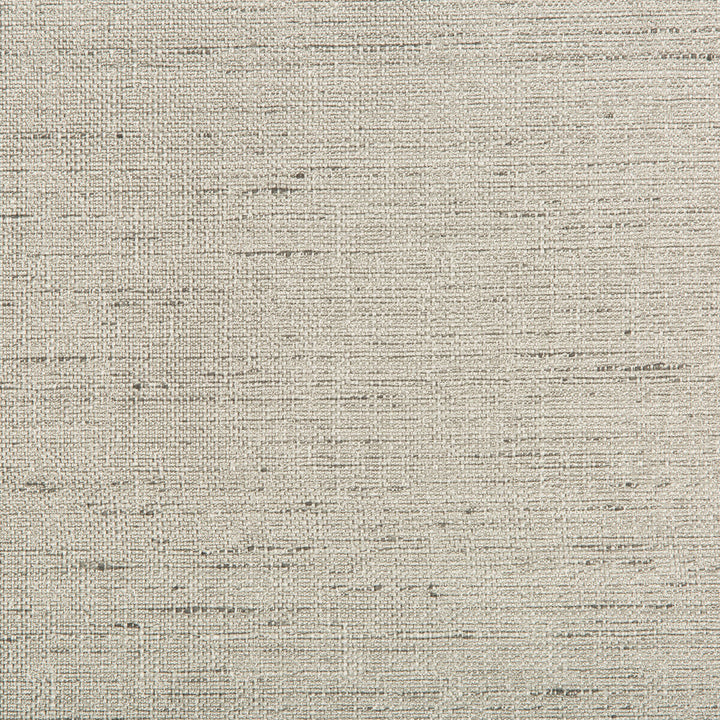 4640-11 by Kravet Contract Fabric POLYESTER - 100% India Horizontal: 0 and Vertical: 0 54 - Fabric Carolina -