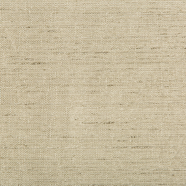 4640-16 by Kravet Contract Fabric POLYESTER - 100% India Horizontal: 0 and Vertical: 0 54 - Fabric Carolina -