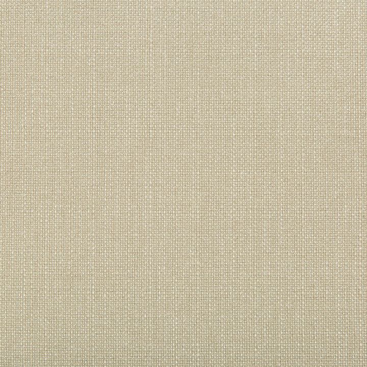 4642-116 by Kravet Contract Fabric POLYESTER - 100% Turkey Horizontal: and Vertical: 118 - Fabric Carolina -