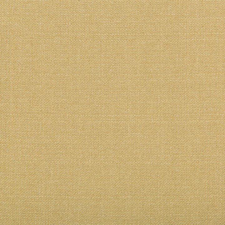 4642-16 by Kravet Contract Fabric POLYESTER - 100% Turkey Horizontal: and Vertical: 118 - Fabric Carolina -