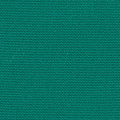 4643 Persian Green by Sunbrella Fabric