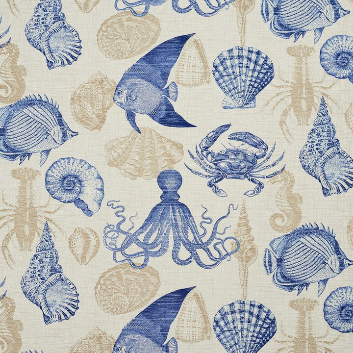 4643 Sealife by Charlotte Fabric All Seasons IV 100% Acrylic Made In USA Exceeds 30,000 Wyzenbeek Rubs (Heavy Duty) Horizontal: 54" x Vertical: 25" 54 Inches - Fabric Carolina -