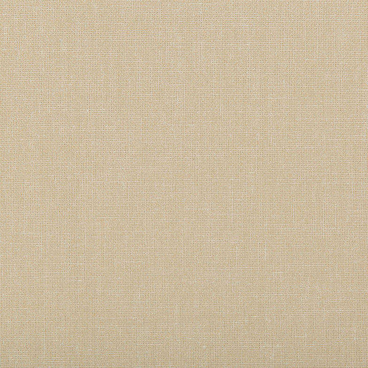 4644-1 by Kravet Contract Fabric - POLYESTER - 100% India - Horizontal: - and Vertical: - 54 - Fabric Carolina -