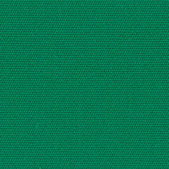 4645 Sea Grass Green by Sunbrella Fabric