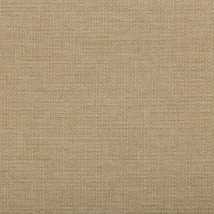 4645-16 by Kravet Contract Fabric - POLYESTER - 100% Turkey - Horizontal: - and Vertical: - 58 - Fabric Carolina -