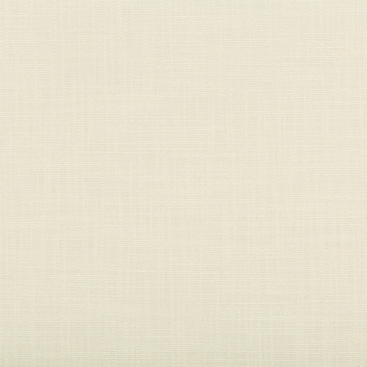 4648-1 by Kravet Contract Fabric POLYESTER - 100% India Horizontal: and Vertical: 59 - Fabric Carolina -