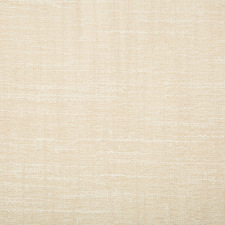 4664-1 by Kravet Basics Fabric POLYESTER FR - 100% India Horizontal: 0 and Vertical: 0 54 - Fabric Carolina -