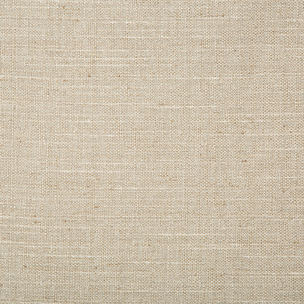 Kravet Basics 4665-106 by Kravet Basics Fabric Kravet Basics Fabric Kravet Basics 4665-106Fabric POLYESTER - 83%;RAYON - 12%;COTTON - 5% India </p><p>Repeat: H: 0, V: 0 55 - Fabric Carolina -