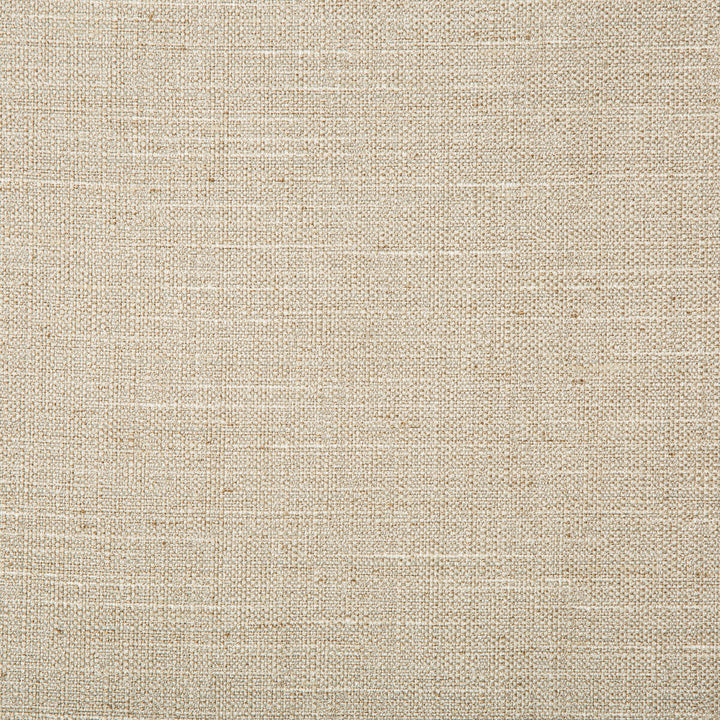 Kravet Basics 4665-106 by Kravet Basics Fabric Kravet Basics Fabric Kravet Basics 4665-106Fabric POLYESTER - 83%;RAYON - 12%;COTTON - 5% India </p><p>Repeat: H: 0, V: 0 55 - Fabric Carolina -