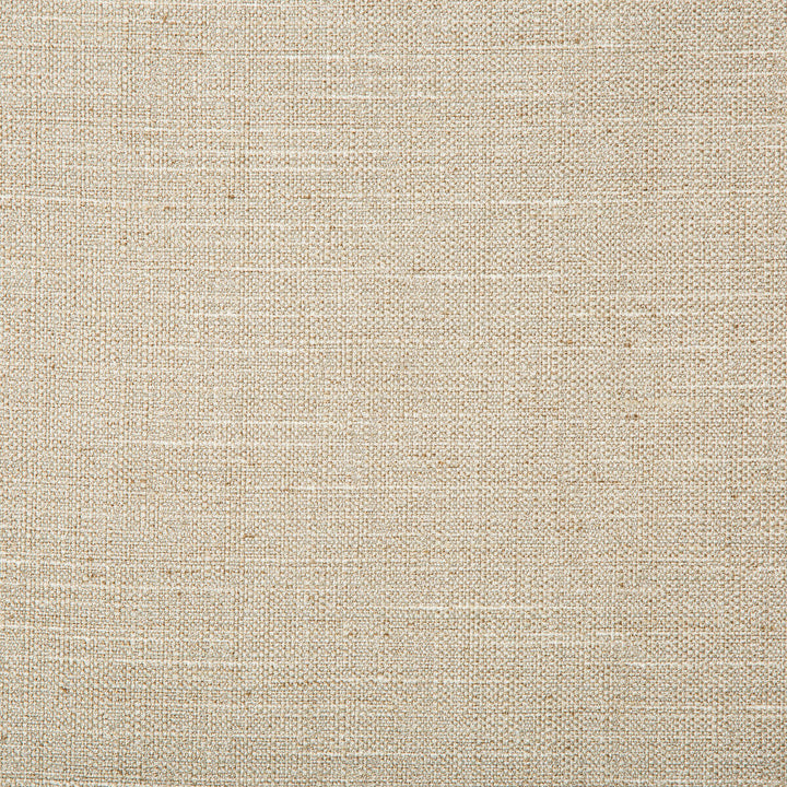 Kravet Basics 4665-106 by Kravet Basics Fabric Kravet Basics Fabric Kravet Basics 4665-106Fabric POLYESTER - 83%;RAYON - 12%;COTTON - 5% India </p><p>Repeat: H: 0, V: 0 55 - Fabric Carolina -