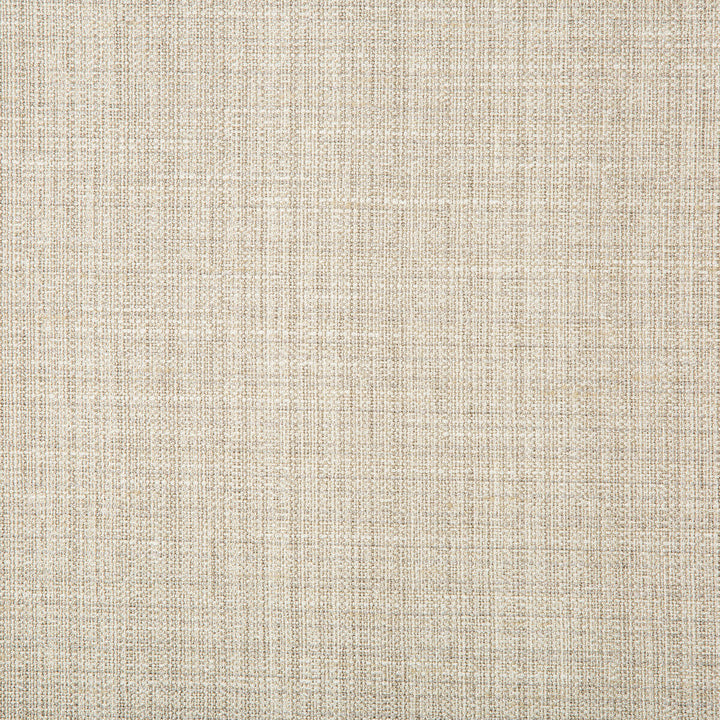 4665-11 by Kravet Basics Designer Fabric POLYESTER - 83%;RAYON - 12%;COTTON - 5% India HEAVY Horizontal: 0 and Vertical: 0 55 - Swanky Fabrics -