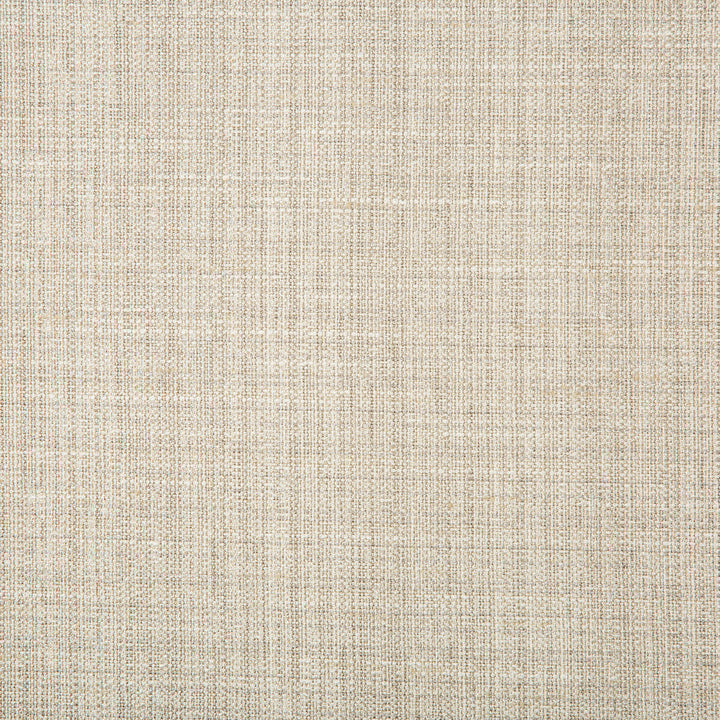 4665-11 by Kravet Basics Fabric POLYESTER - 83%;RAYON - 12%;COTTON - 5% India HEAVY Horizontal: 0 and Vertical: 0 55 - Fabric Carolina -