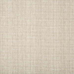 Kravet Basics 4665-11 by Kravet Basics Fabric