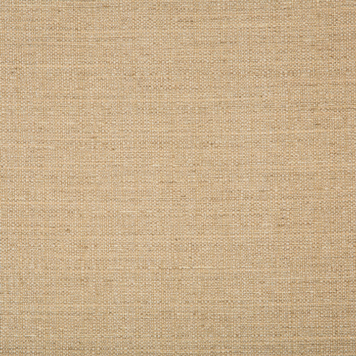 4665-16 by Kravet Basics Fabric POLYESTER - 83%;RAYON - 12%;COTTON - 5% India HEAVY Horizontal: 0 and Vertical: 0 55 - Fabric Carolina -