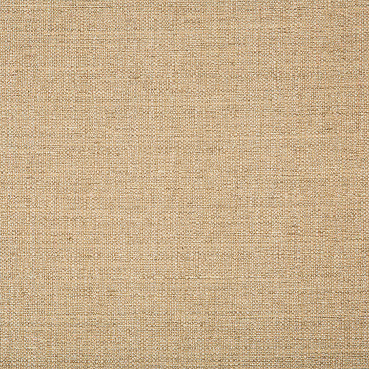 4665-16 by Kravet Basics Designer Fabric - POLYESTER - 83%;RAYON - 12%;COTTON - 5% India HEAVY Horizontal: 0 and Vertical: 0 55 - Swanky Fabrics -