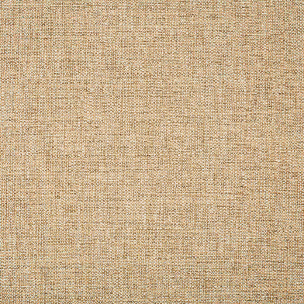 4665-16 by Kravet Basics Fabric POLYESTER - 83%;RAYON - 12%;COTTON - 5% India HEAVY Horizontal: 0 and Vertical: 0 55 - Fabric Carolina -