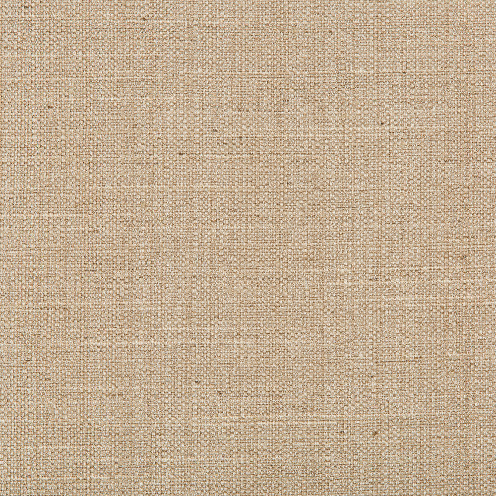 4665-16 by Kravet Basics Fabric POLYESTER - 83%;RAYON - 12%;COTTON - 5% India HEAVY Horizontal: 0 and Vertical: 0 55 - Fabric Carolina -